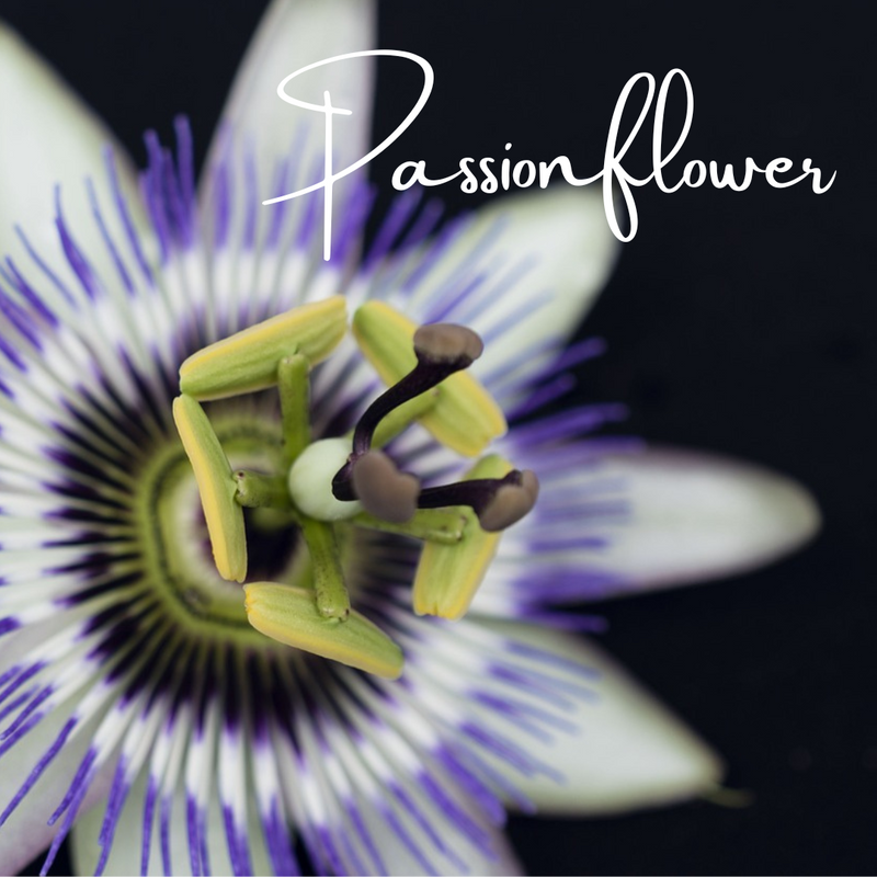 Passionflower Happibliss