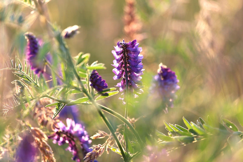 Audit Mode: The Hidden Stress State Many Women Miss