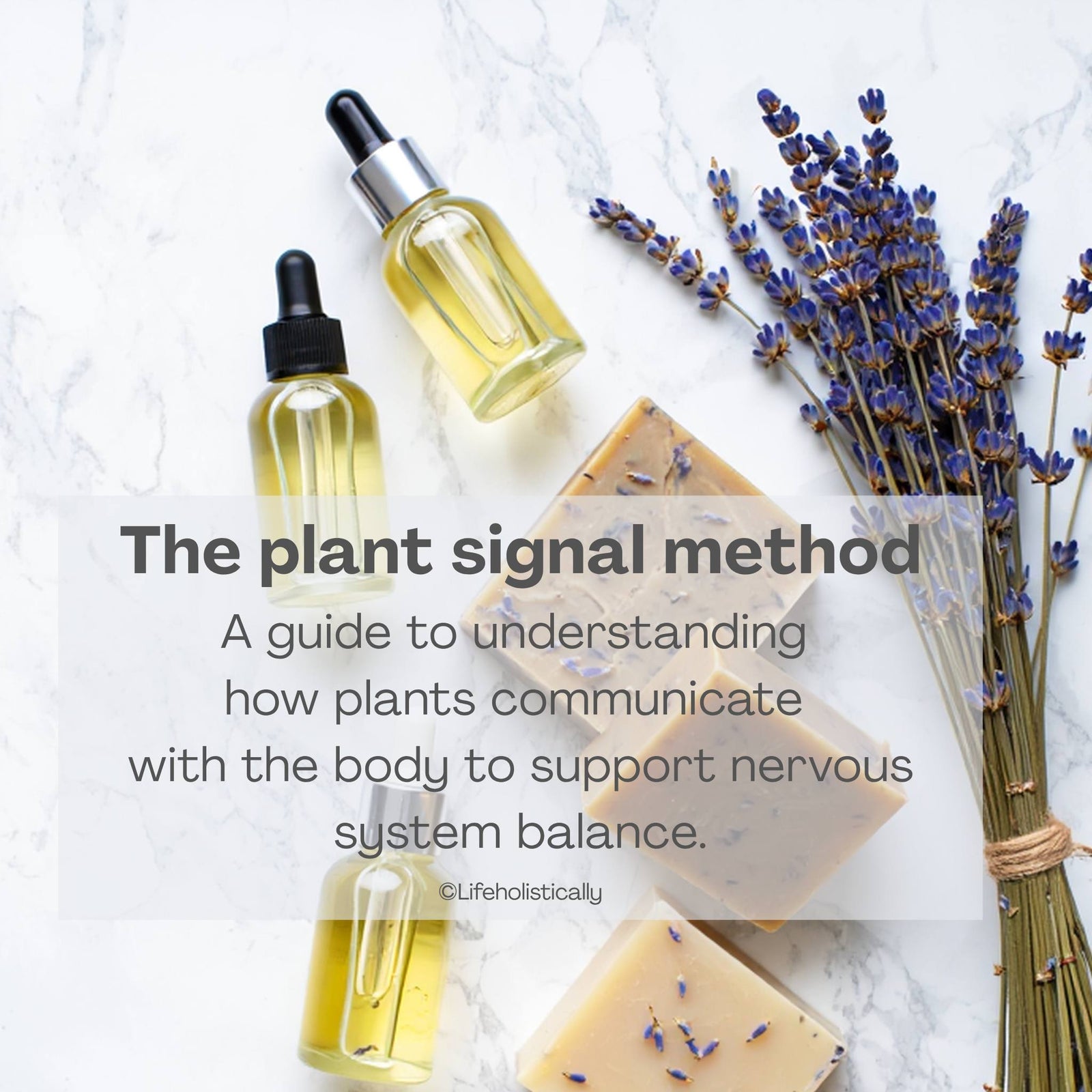 The Plant Signal Method