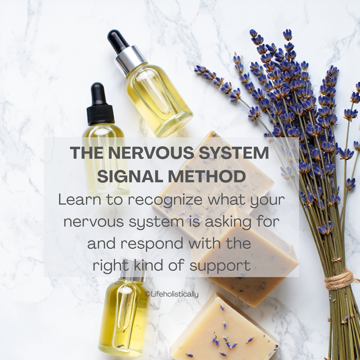 The_Nervous_System_Signal_Method_Lavender_Essential_Oil
